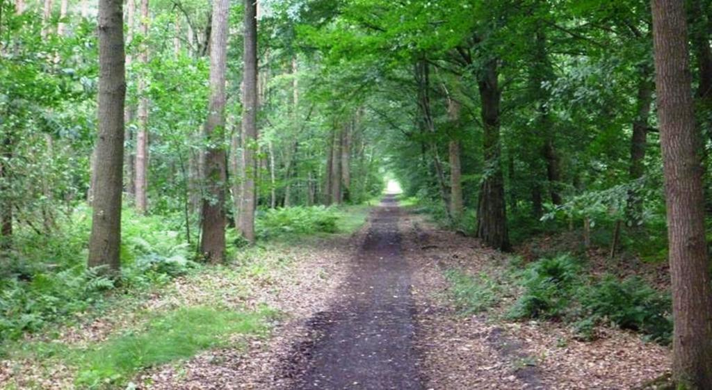B&B Woodside Torhout Buitenkant foto